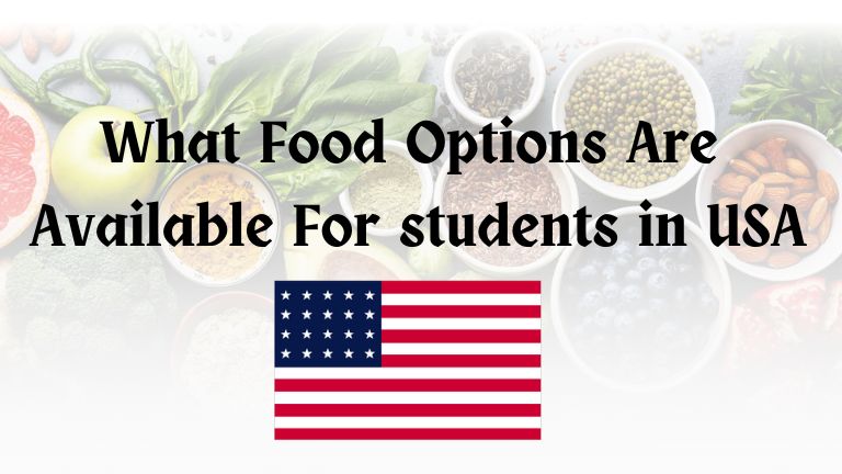 What Food Options Are Available For students in USA